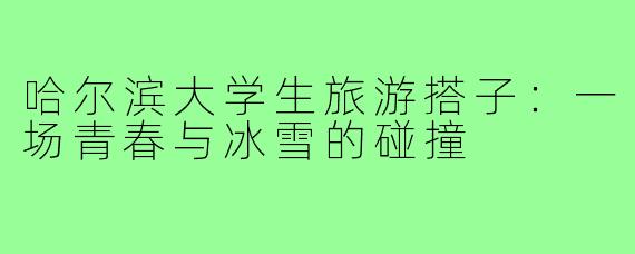 哈尔滨大学生旅游搭子:一场青春与冰雪的碰撞