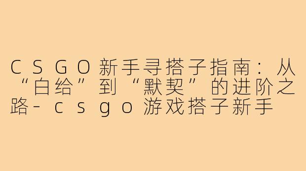 CSGO新手寻搭子指南：从“白给”到“默契”的进阶之路-csgo游戏搭子新手