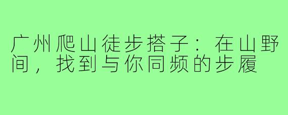 广州爬山徒步搭子:在山野间,找到与你同频的步履