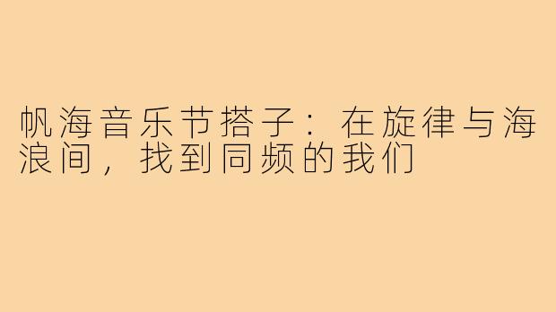 帆海音乐节搭子:在旋律与海浪间,找到同频的我们