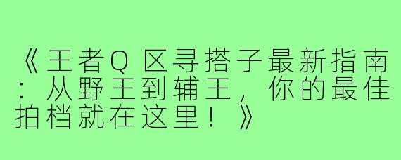 《王者Q区寻搭子最新指南：从野王到辅王，你的最佳拍档就在这里！》