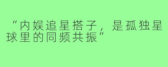 “内娱追星搭子,是孤独星球里的同频共振”