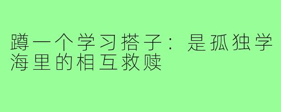 蹲一个学习搭子：是孤独学海里的相互救赎