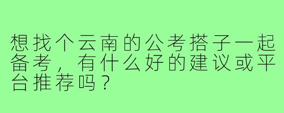 想找个云南的公考搭子一起备考，有什么好的建议或平台推荐吗？