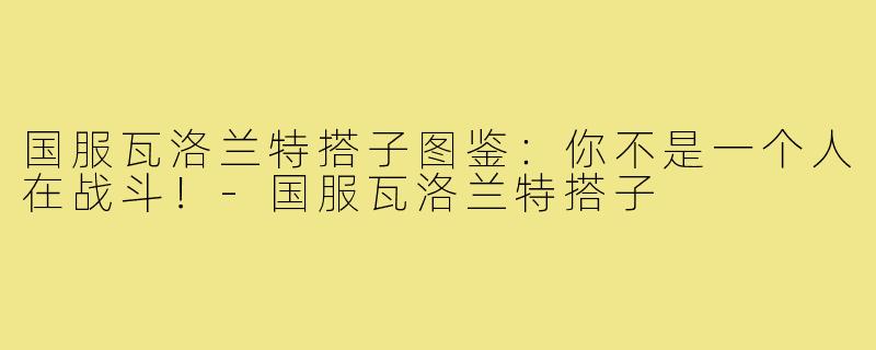 国服瓦洛兰特搭子图鉴：你不是一个人在战斗！-国服瓦洛兰特搭子