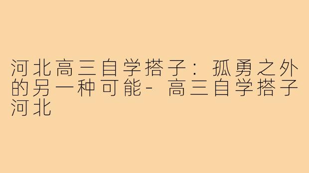 河北高三自学搭子：孤勇之外的另一种可能-高三自学搭子河北
