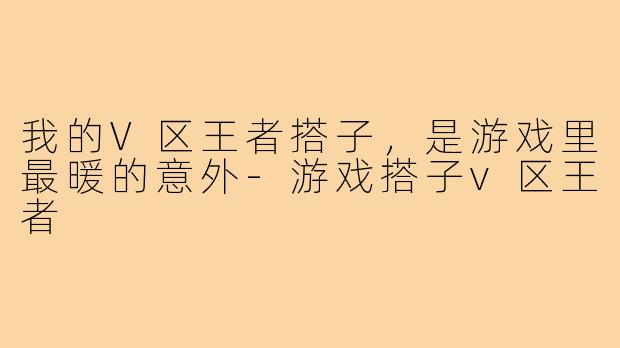 我的V区王者搭子，是游戏里最暖的意外-游戏搭子v区王者