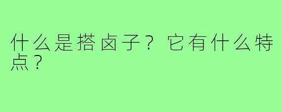 什么是搭卤子？它有什么特点？
