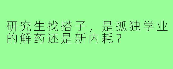 研究生找搭子，是孤独学业的解药还是新内耗？