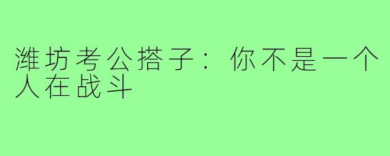 潍坊考公搭子：你不是一个人在战斗