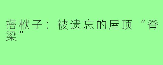 搭栿子：被遗忘的屋顶“脊梁”