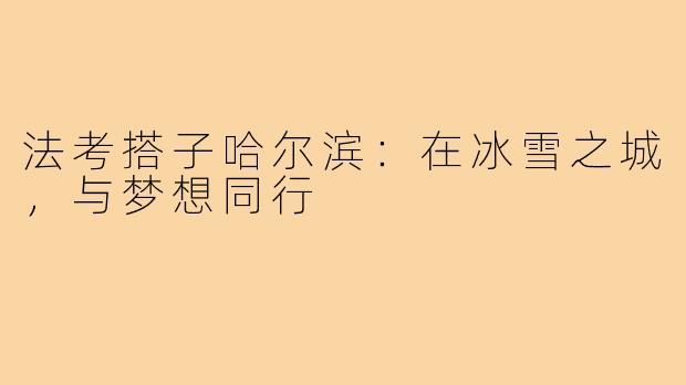 法考搭子哈尔滨：在冰雪之城，与梦想同行