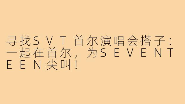 寻找SVT首尔演唱会搭子：一起在首尔，为SEVENTEEN尖叫！