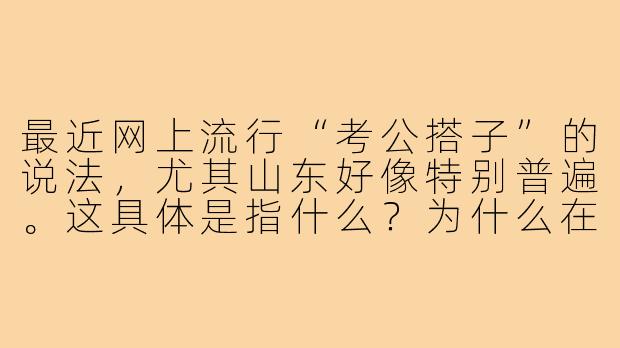 最近网上流行“考公搭子”的说法，尤其山东好像特别普遍。这具体是指什么？为什么在山东考公氛围这么浓厚？
