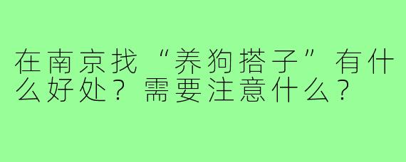 在南京找“养狗搭子”有什么好处?需要注意什么?