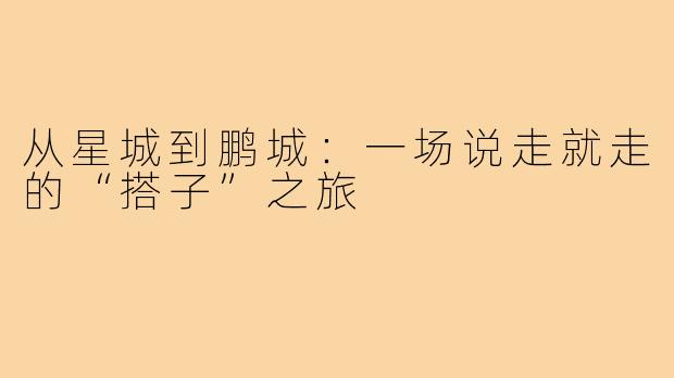 从星城到鹏城：一场说走就走的“搭子”之旅