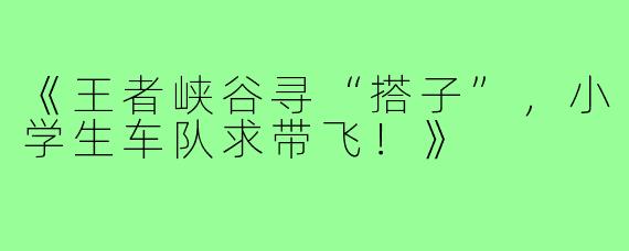 《王者峡谷寻“搭子”,小学生车队求带飞!》