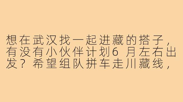 想在武汉找一起进藏的搭子,有没有小伙伴计划6月左右出发?希望组队拼车走川藏线,男女不限,主要求靠谱、不矫情,能互相照应。时间路线可商量!-武汉进藏搭子
