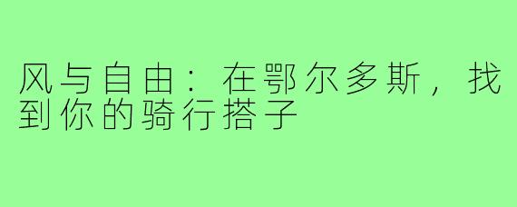 风与自由:在鄂尔多斯,找到你的骑行搭子