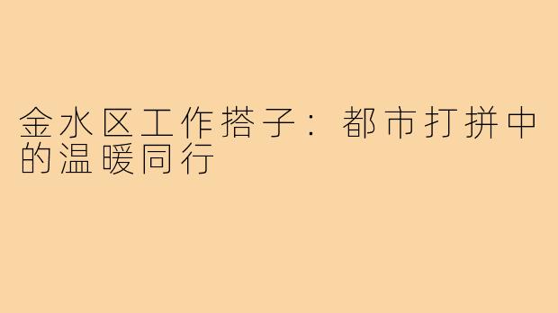金水区工作搭子：都市打拼中的温暖同行