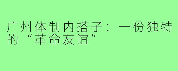 广州体制内搭子：一份独特的“革命友谊”