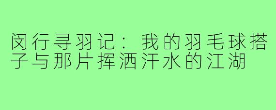 闵行寻羽记:我的羽毛球搭子与那片挥洒汗水的江湖