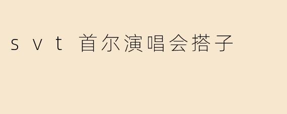 svt首尔演唱会搭子
