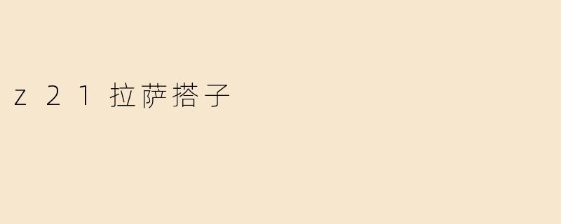 z21拉萨搭子