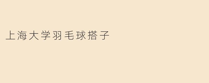 上海大学羽毛球搭子