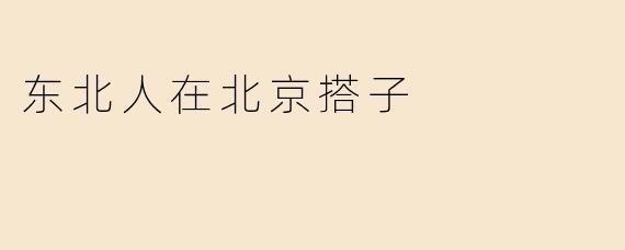 东北人在北京搭子