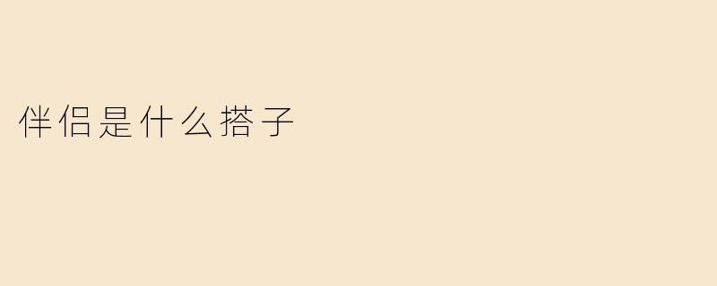 伴侣是什么搭子