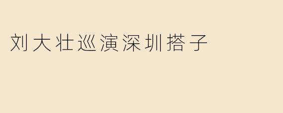 刘大壮巡演深圳搭子