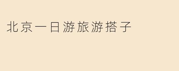 北京一日游旅游搭子