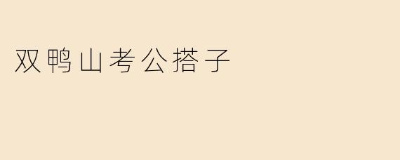 双鸭山考公搭子