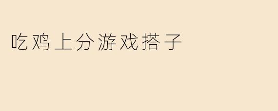 吃鸡上分游戏搭子