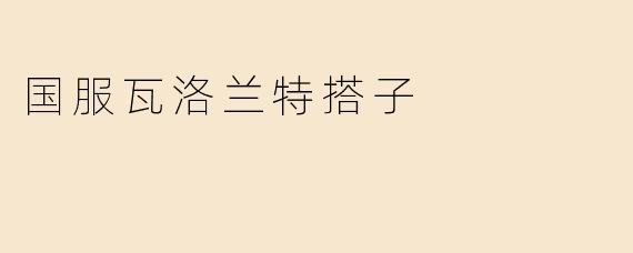 国服瓦洛兰特搭子