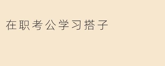 在职考公学习搭子