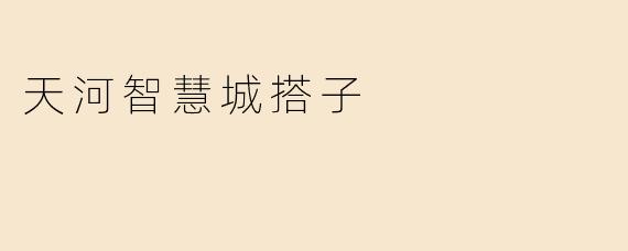 天河智慧城搭子