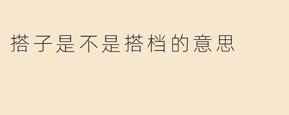 搭子是不是搭档的意思