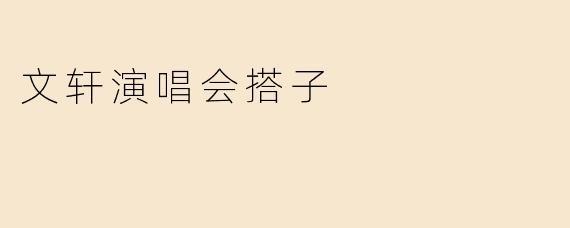 文轩演唱会搭子