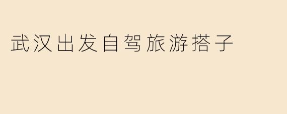 武汉出发自驾旅游搭子