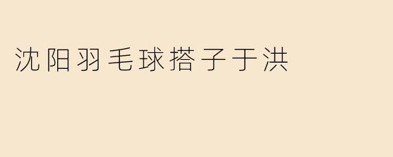 沈阳羽毛球搭子于洪