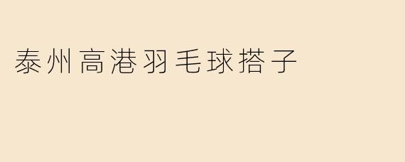 泰州高港羽毛球搭子