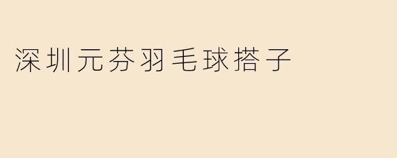 深圳元芬羽毛球搭子