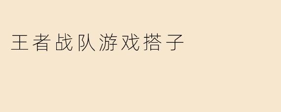 王者战队游戏搭子