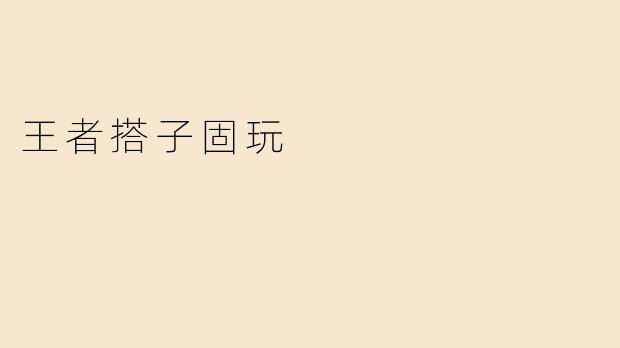 王者搭子固玩