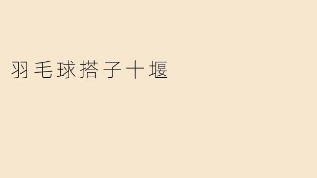 羽毛球搭子十堰