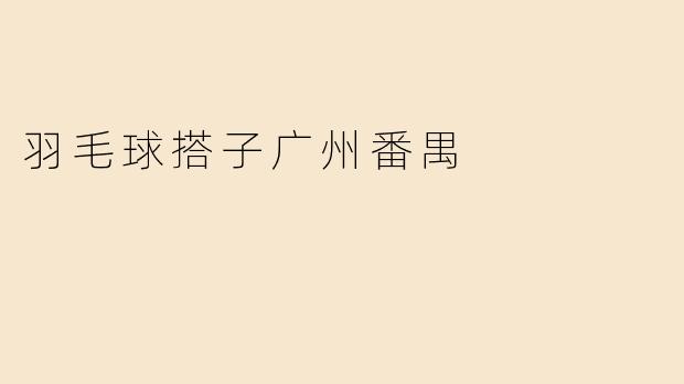 羽毛球搭子广州番禺