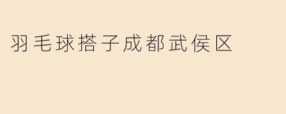 羽毛球搭子成都武侯区