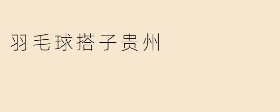 羽毛球搭子贵州